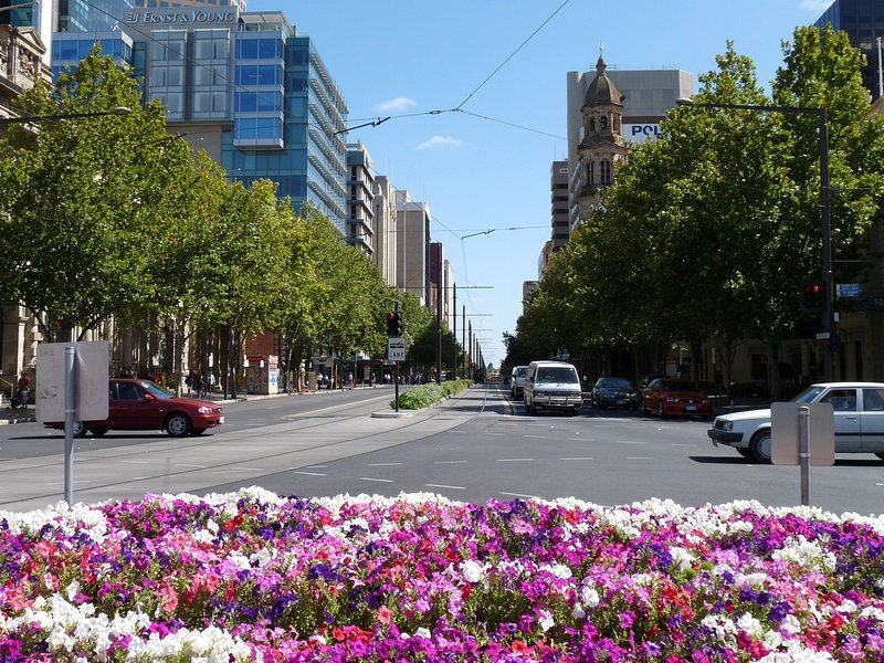 Flower beds, tram wires and office towers along a wide tree-lined city street