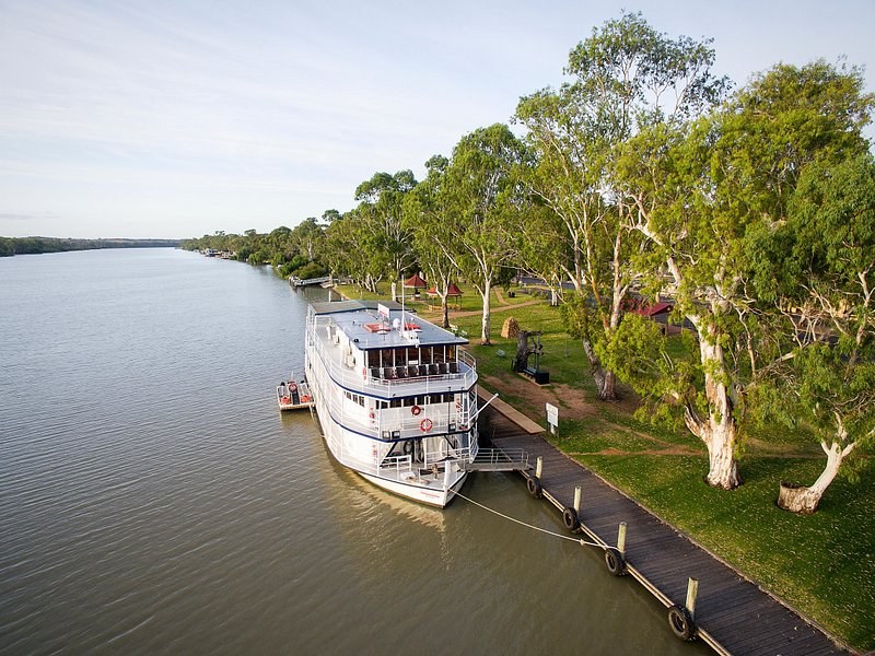 A paddle steamer moored below gum trees on a wide, still river